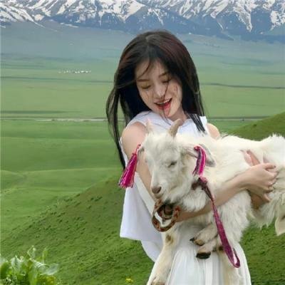 大叔与猫